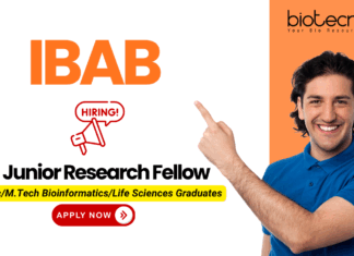 IBAB junior research fellow recruitment for DBT project – research jobs and biotech jobs