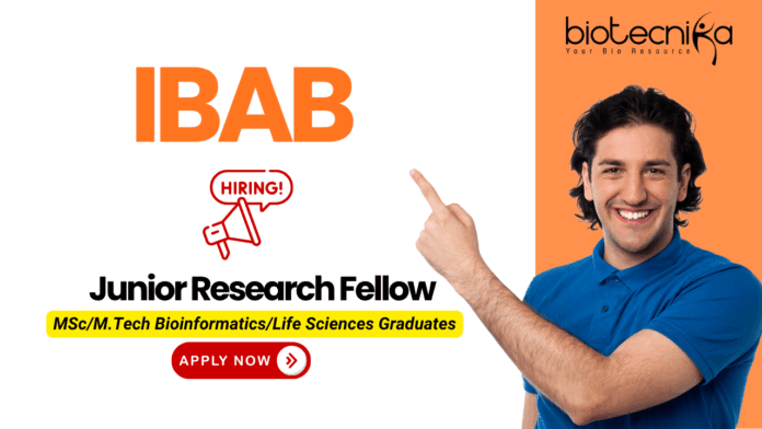 IBAB junior research fellow recruitment for DBT project – research jobs and biotech jobs