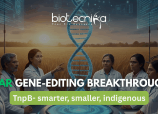 India’s ICAR Unveils Desi Gene-Editing Tool for Genetically Modified Crops ICAR scientists developing genetically modified crops using indigenous gene-editing tool as an alternative to CRISPR