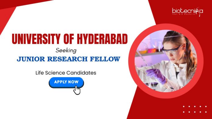 Junior Research Fellow (4) UOH Recruitment: UOH Seeking a Junior Research Fellow | Masters in Life Sciences Can Apply Now for Life Science Research