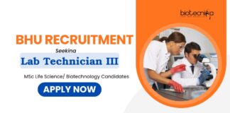 Lab Technician Jobs – BHU Recruitment – Life Science Candidates Apply Now Lab Technician Jobs at BHU | BHU Recruitments | MSc Life Science/ Biotech Candidates Apply Now | Life Science Jobs