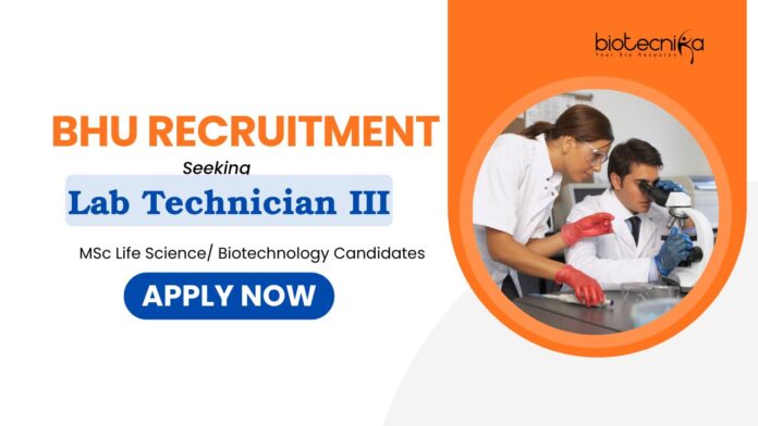 Lab Technician III Lab Technician Jobs at BHU | BHU Recruitments | MSc Life Science/ Biotech Candidates Apply Now | Life Science Jobs