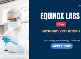 Microbiology Internship at Equinox Labs | Apply Now | Microbiology jobs