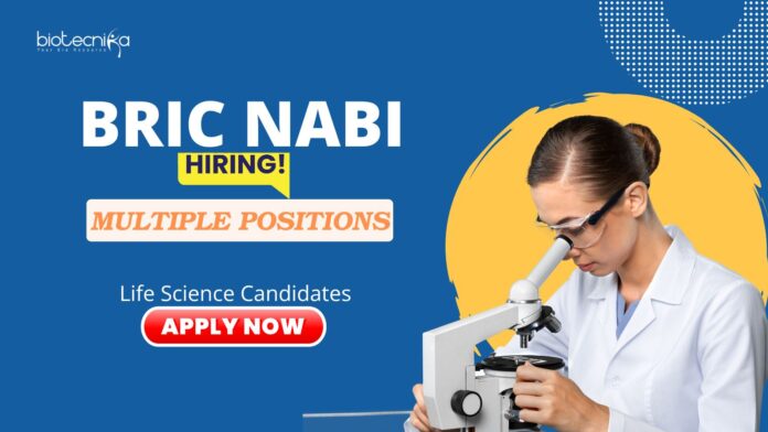 Research Jobs: NABI Recruitment 2025 - Multiple Positions | Life Science Candidates Apply Now | Biological Research Jobs