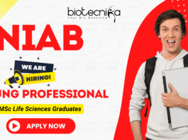 Young Professional-II Vacancy at NIAB | Biotechnology Jobs | Agricultural Sciences Jobs NIAB Recruitment Young Professional-II biotechnology jobs agricultural sciences jobs