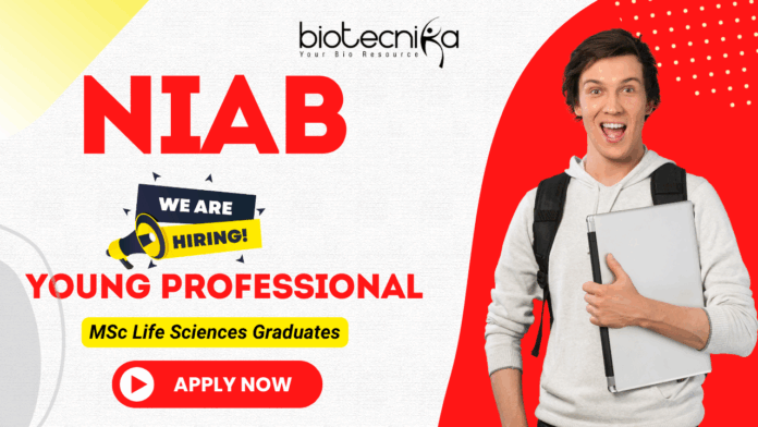NIAB Recruitment Young Professional-II biotechnology jobs agricultural sciences jobs NIAB Recruitment Young Professional-II biotechnology jobs agricultural sciences jobs