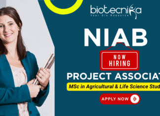 Project Associate II Vacancy at NIAB | Research Associate Jobs | Life Science Jobs NIAB recruitment 2025 Project Associate II for research associate jobs and life science jobs.