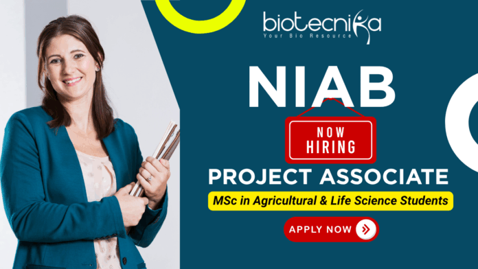 NIAB recruitment 2025 Project Associate II for research associate jobs and life science jobs. NIAB recruitment 2025 Project Associate II for research associate jobs and life science jobs.