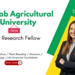 Senior Research Fellow at Punjab Agricultural University, Ludhiana. Life Sciences & Agricultural Candidates, Apply Now.