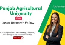 Senior Research Fellow at Punjab Agricultural University, Ludhiana. Life Sciences & Agricultural Candidates, Apply Now.