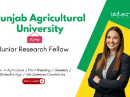 Senior Research Fellow at Punjab Agricultural University, Ludhiana. Life Sciences & Agricultural Candidates, Apply Now.