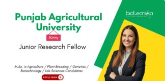 Senior Research Fellow at Punjab Agricultural University, Ludhiana. Life Sciences & Agricultural Candidates, Apply Now.