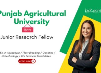 Senior Research Fellow at Punjab Agricultural University, Ludhiana. Life Sciences & Agricultural Candidates, Apply Now.