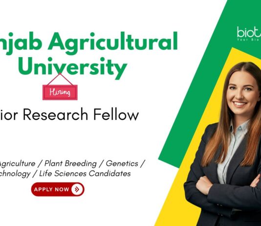 Senior Research Fellow at Punjab Agricultural University, Ludhiana. Life Sciences & Agricultural Candidates, Apply Now.