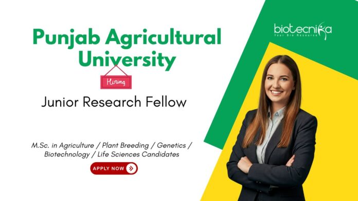 Senior Research Fellow at Punjab Agricultural University, Ludhiana. Life Sciences & Agricultural Candidates, Apply Now.