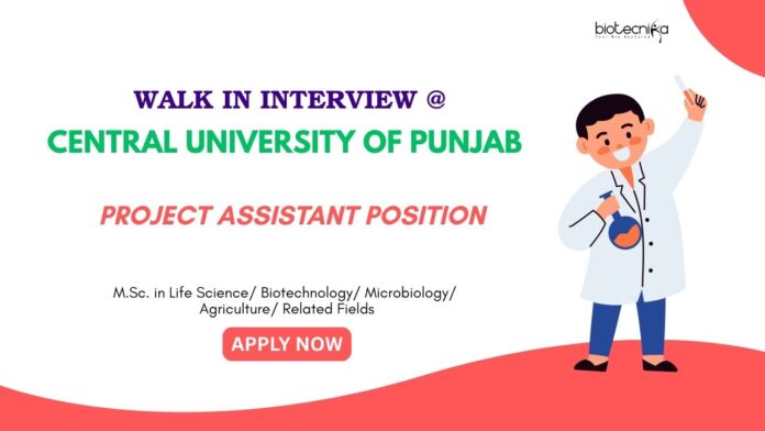 Project Assistant Position Life Science Jobs: Walk-In Interview at Central University of Punjab for Project Assistant | Apply Now for Life Science Career