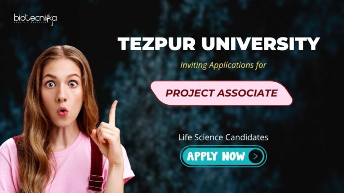 Project Associate (1) Research Jobs: Tezpur University Recruitment - Inviting Applications for Project Associate | MSc Life Science Graduates Can Apply Now