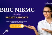 NIBMG Recruitment: Project Associate Positions for Life Science Graduates – Apply Now BRIC NIBMG Recruitment 2025 – Project Associate Jobs in Life Sciences | MSc in Life Science/ Bioinformatics Apply Now | Life Science Jobs