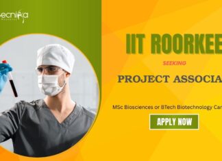 Project Associate Jobs: IIT Roorkee Recruitment Seeking Project Associate | Apply Now for Life Science Jobs