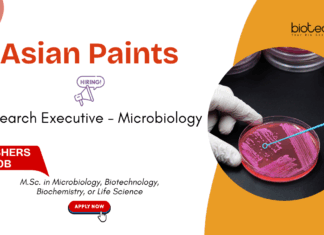 Microbiology Jobs For Freshers at Asian Paints. Apply Now For a Research Executive Role. Life Sciences Research job in Navi Mumbai.