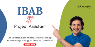 Project Assistant job at IBAB. M.Sc. in Life Sciences/ Biochemistry/ Biotechnology Candidates, Apply Now. Job in Bengaluru.