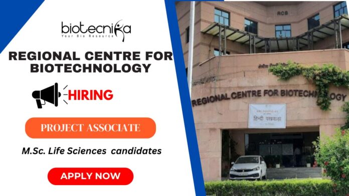 RCB Recruitment 2025 Apply for Project Associate-II Position in Biotechnology RCB Recruitment 2025: Apply for Project Associate-II Position in Biotechnology