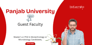 Guest Faculty Vacancy at Panjab University. Masters or PhD in Biotechnology & Microbiology Candidates, Apply Now.