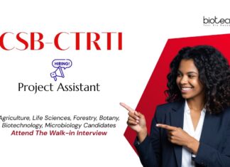 Project Assistant Job at CSB-CTRTI Ranchi. Life Sciences & Agricultural Biotechnology Candidates, Attend The Walk-in Interview.