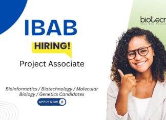 Project Associate Job at IBAB. Bioinformatics & Life Sciences candidates, Apply Now. DBT-funded project. Job in Bengaluru.