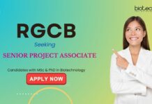 Biotechnology Jobs at RGCB – Apply Now for Project Associate Role Biotechnology Jobs: RGCB Recruitment - Senior Project Associate Position | PhD in Biotechnology Apply Now | Project Associate Jobs