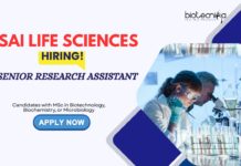 Life Science Jobs: Sai Life Sciences is Hiring a Senior Research Assistant | Masters in Life Sciences Can Apply Now | Research Assistant Jobs