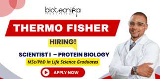 Freshers Scientist I Protein Biology – Life Science Jobs at Thermo Fisher Scientist Protein Biology role Thermo Fisher life science jobs biotech jobs