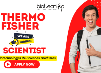 Scientist job at Thermo Fisher Scientific for biotechnology jobs applicants