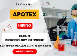 Trainee – Microbiology Jobs at Apotex | Bangalore, India Trainee Microbiology Internship at Apotex Bangalore – Explore Microbiology Jobs and Apotex Careers