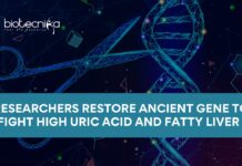 Researchers Restore Ancient Gene to Fight High Uric Acid and Fatty Liver using CRISPR Cas9 Technology | Gene Editing | Gout Treatment