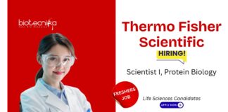 Scientist Jobs at Thermo Fisher Scientific. Life Sciences Freshers Job. Protein Biology Scientist Job. Career in Bangalore.