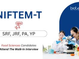 Research Jobs at NIFTEM-T. SRF, JRF, Project Assistant & Young Professional posts in food science research. Attend The Walk-in Interview.