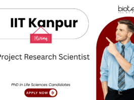 Scientist Jobs at IIT Kanpur. PhD in Life Sciences Candidates, Apply Now For Project Research Scientist Position.