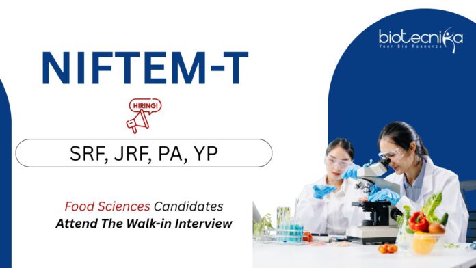 Research Jobs at NIFTEM-T. SRF, JRF, Project Assistant & Young Professional posts in food science research. Attend The Walk-in Interview.