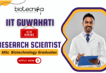IIT Guwahati Recruitment 2025 – Research Scientist (Biotechnology) IIT Guwahati recruitment biotechnology jobs research jobs Research Scientist IV