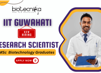 IIT Guwahati recruitment biotechnology jobs research jobs Research Scientist IV