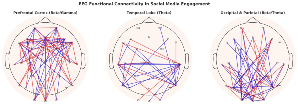 Connectivity of brain regions and lobes, and wavelengths observed as well, and their connectivity. Source: Cureus