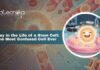 A Day in the Life of a Stem Cell: The Most Confused Cell Ever Stem Cell Biology: Understanding What are Stem cells and Their Types and Roles | Importance of Regenerative Medicine Stem Cells