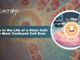Stem Cell Biology: Understanding What are Stem cells and Their Types and Roles | Importance of Regenerative Medicine Stem Cells
