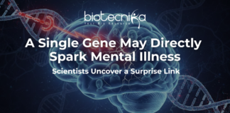 Scientists Uncover a Surprise Link: A Single Gene May Directly Spark Mental Illness Mental illness linked to GRIN2A gene affecting mental health and brain function