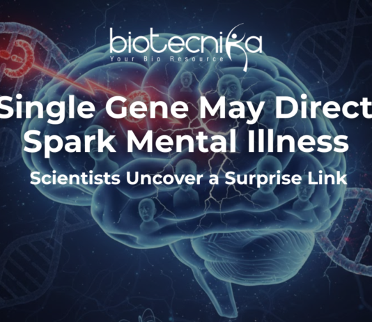 Mental illness linked to GRIN2A gene affecting mental health and brain function
