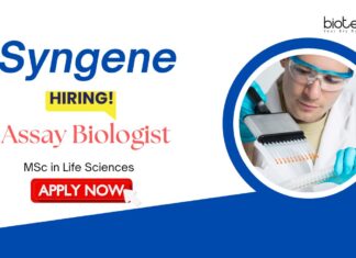 Syngene Hiring Life Science candidates | Apply Now for Assay Biologist Role Biologist Jobs: Syngene is Hiring Assay Biologist | MSc Life Science Candidates Apply Now for Syngene career | Life Science Jobs