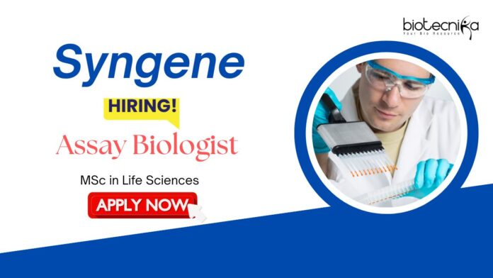 Biologist Jobs: Syngene is Hiring Assay Biologist | MSc Life Science Candidates Apply Now for Syngene career | Life Science Jobs