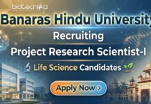 Apply for the BHU Recruitment Project Research Scientist-I Role. Build your Life Science Career with this ICMR-Funded Research Job
