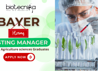 Bayer Hiring Testing Manager | Agriculture Jobs 2025 Bayer Testing Manager agriculture jobs and testing manager jobs 2025